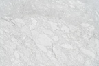 WHITE CARRARA